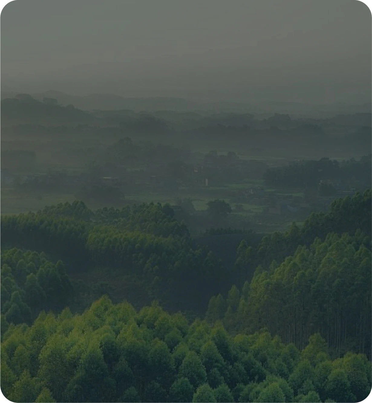 EUDR-Ready Forest Mountains