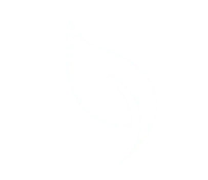Leaf Icon